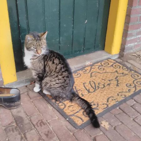 Appartement Hoeve Polsdonk Oirschot Exteriör bild